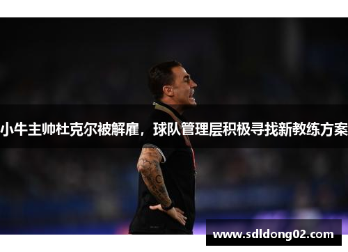 小牛主帅杜克尔被解雇，球队管理层积极寻找新教练方案