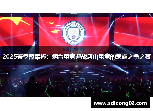 2025赛季冠军杯：烟台电竞迎战唐山电竞的荣耀之争之夜