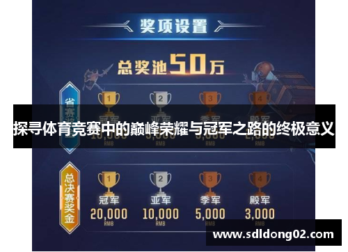 探寻体育竞赛中的巅峰荣耀与冠军之路的终极意义