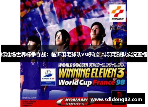 标准场世界杯争夺战：临沂羽毛球队vs呼和浩特羽毛球队实况直播